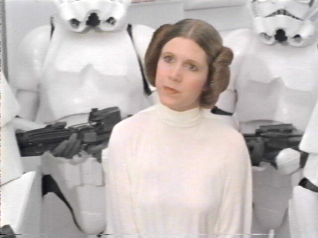 Leia And Storm Troopers 