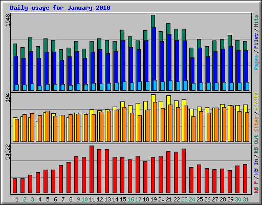 Daily usage for January 2010